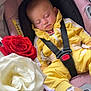 Cayetana participe au concours pour gagner de l'argent avec cette photo : baby, sleeping, car_seat, yellow_clothing, straps, rose, red_rose, white_rose, flower, infant, child, socks, pink_car_seat, peaceful, portrait, close_up, soft_lighting, indoor, cute, young_child