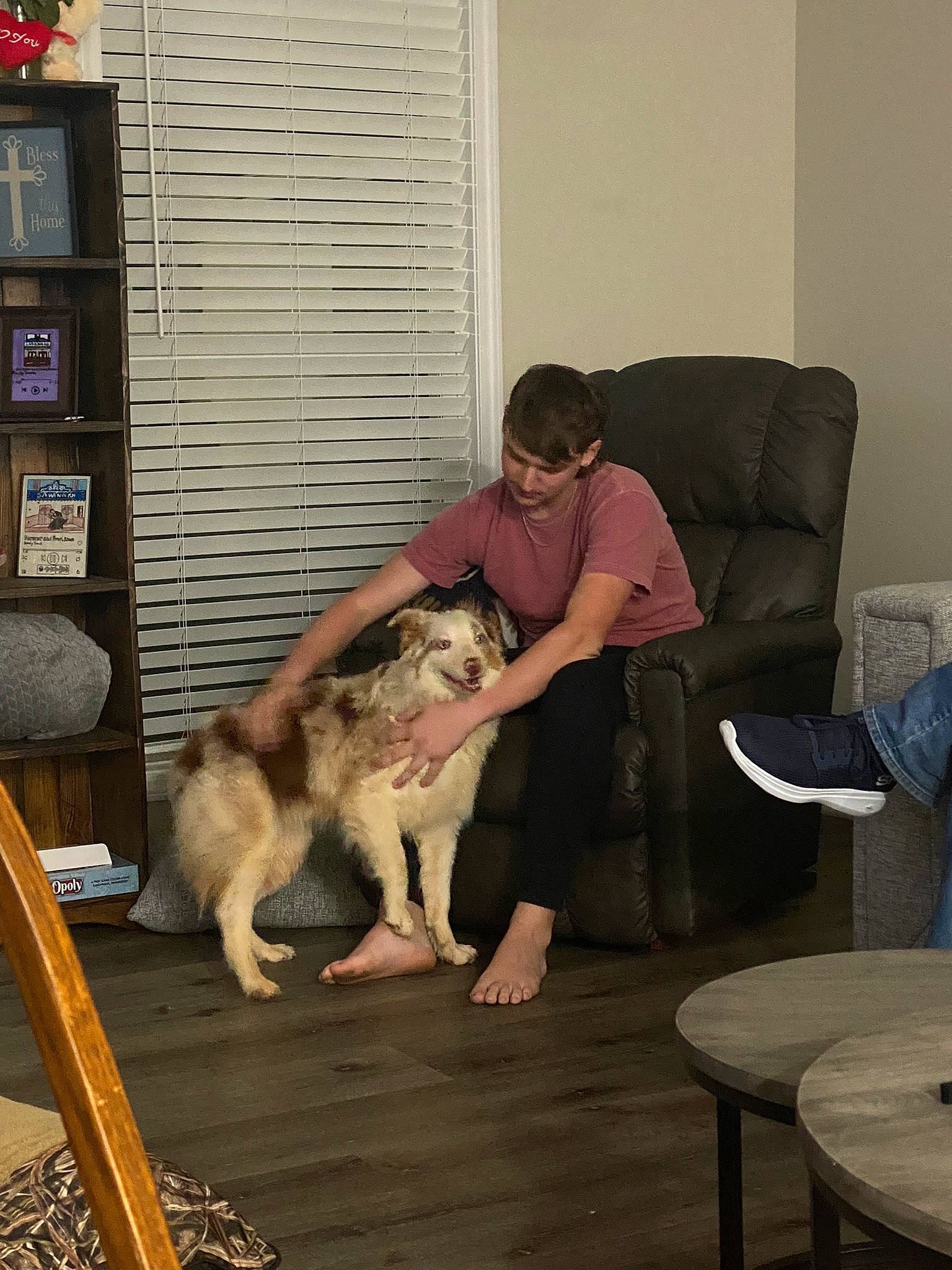 Gypsie is registered to the contest to win money with this photo: canidae, carnivore, comfort, companion_dog, dog, dog_breed, event, fawn, flooring, fun, fur, hardwood, herding_dog, leg, room, sitting, sporting_group, table, wood, working_animal