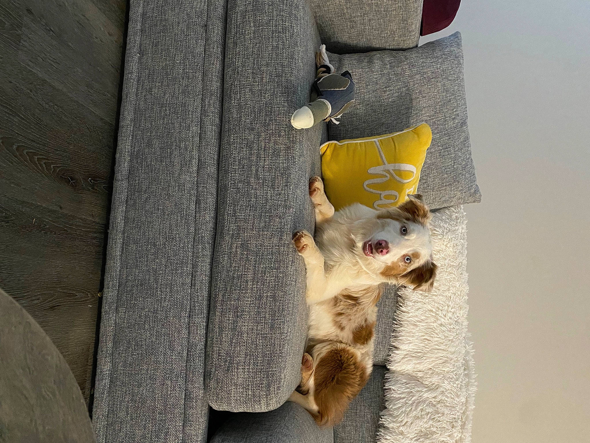 Gypsie joined the competition — help win amazing prizes! art, blazer, button, door, fashion_accessory, fur, grey, house, metal, pattern, room, sculpture, sleeve, street_fashion, window, wood