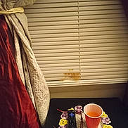 Marmalade joined the competition — help win amazing prizes! cat, window, blinds, red_cup, remote_control, glasses, table, curtains, doily, orange_liquid, indoor, pet, fluffy, peek, dim_light, blurry, fabric, home, furniture, animal