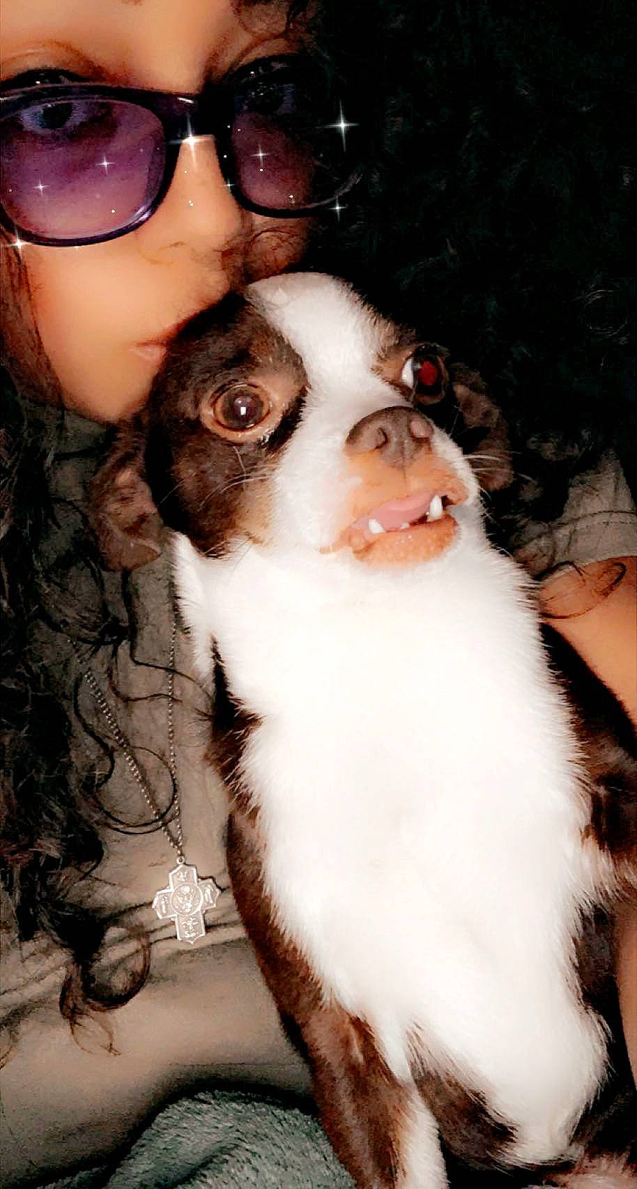 Gizmo is registered to the contest to win money with this photo: black_hair, brown_hair, carnivore, companion_dog, dog, dog_breed, eye_glass_accessory, eyewear, fawn, fun, fur, goggles, hat, nose, selfie, snout, sunglasses, vision_care, whiskers, working_animal