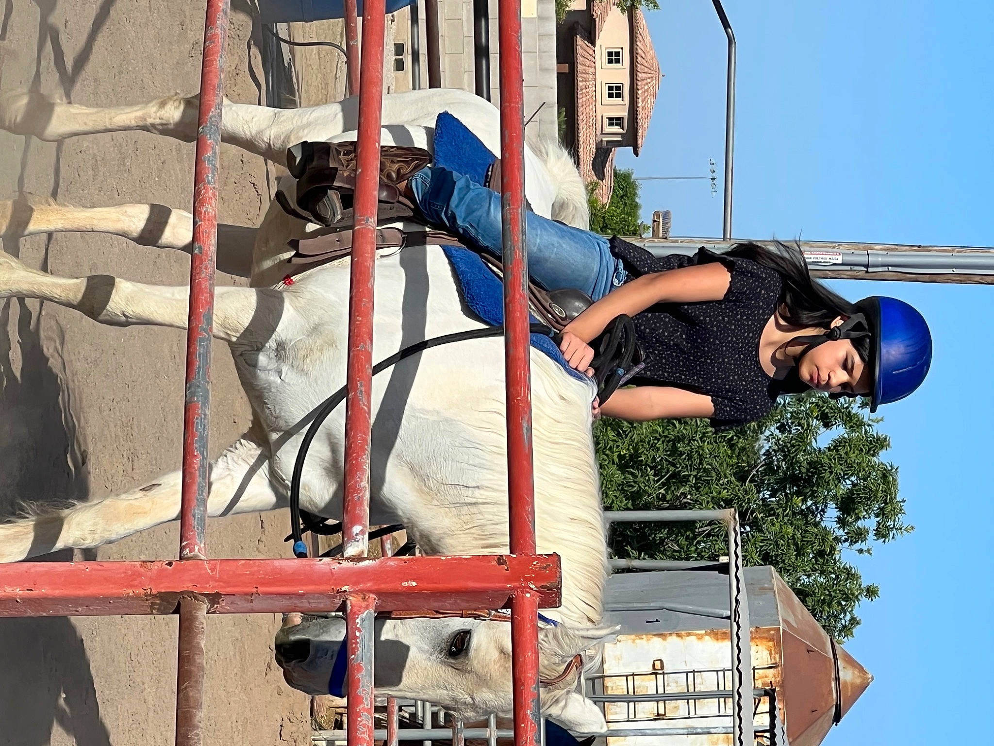 Claire joined the competition — help win amazing prizes! adventure, animal_sports, bridle, competition, event, fun, headwear, helmet, horse_supplies, horse_tack, leisure, pack_animal, person, public_event, recreation, rein, saddle, shorts, sky, stallion