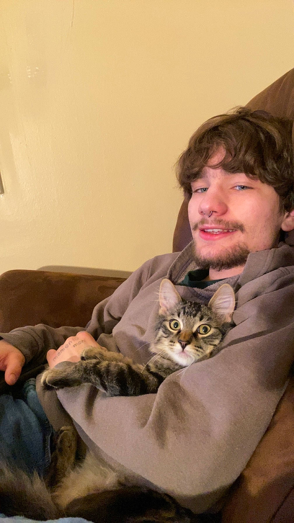 Nugget joined the competition — help win amazing prizes! beard, carnivore, cat, comfort, couch, domestic_short_haired_cat, ear, eye, facial_hair, fawn, felidae, formal_wear, fur, happy, jaw, moustache, sitting, small_to_medium_sized_cats, smile, whiskers