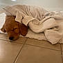puppy, dog, sleeping, blanket, towel, tile_floor, cozy, pet, resting, indoors, cute, fur, animal, nap, soft, brown, young_dog, sleep, comfort, home