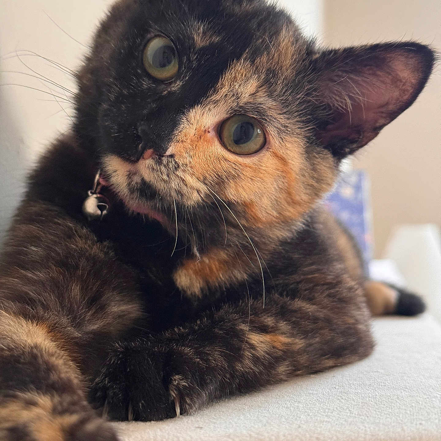 Caramela
