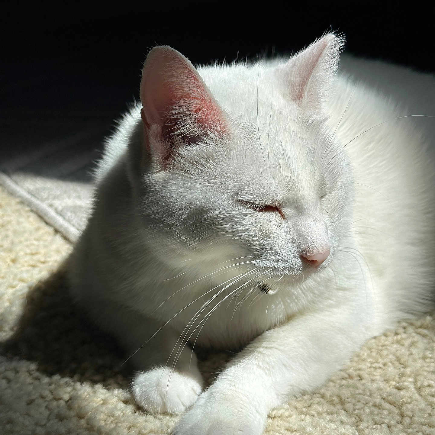 Lulu