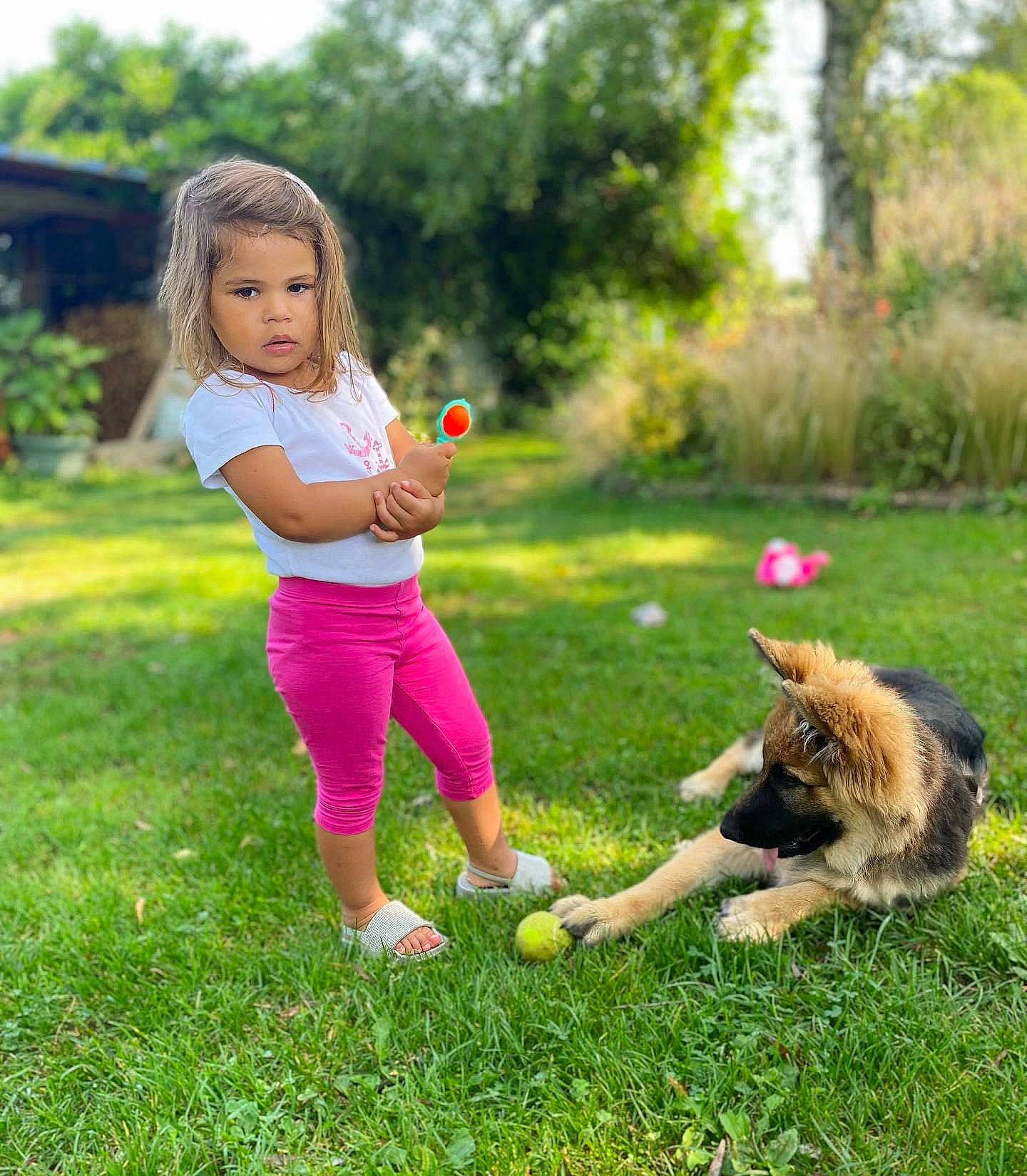 Elena a rejoint le concours — aidez-le/la à gagner de superbes lots ! carnivore, companion_dog, dog_breed, felidae, fun, grass, grass_family, grassland, happy, leisure, mammal, meadow, people_in_nature, person, pink, plant, recreation, shoe, toddler, toy