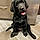 Murphy