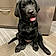 Murphy