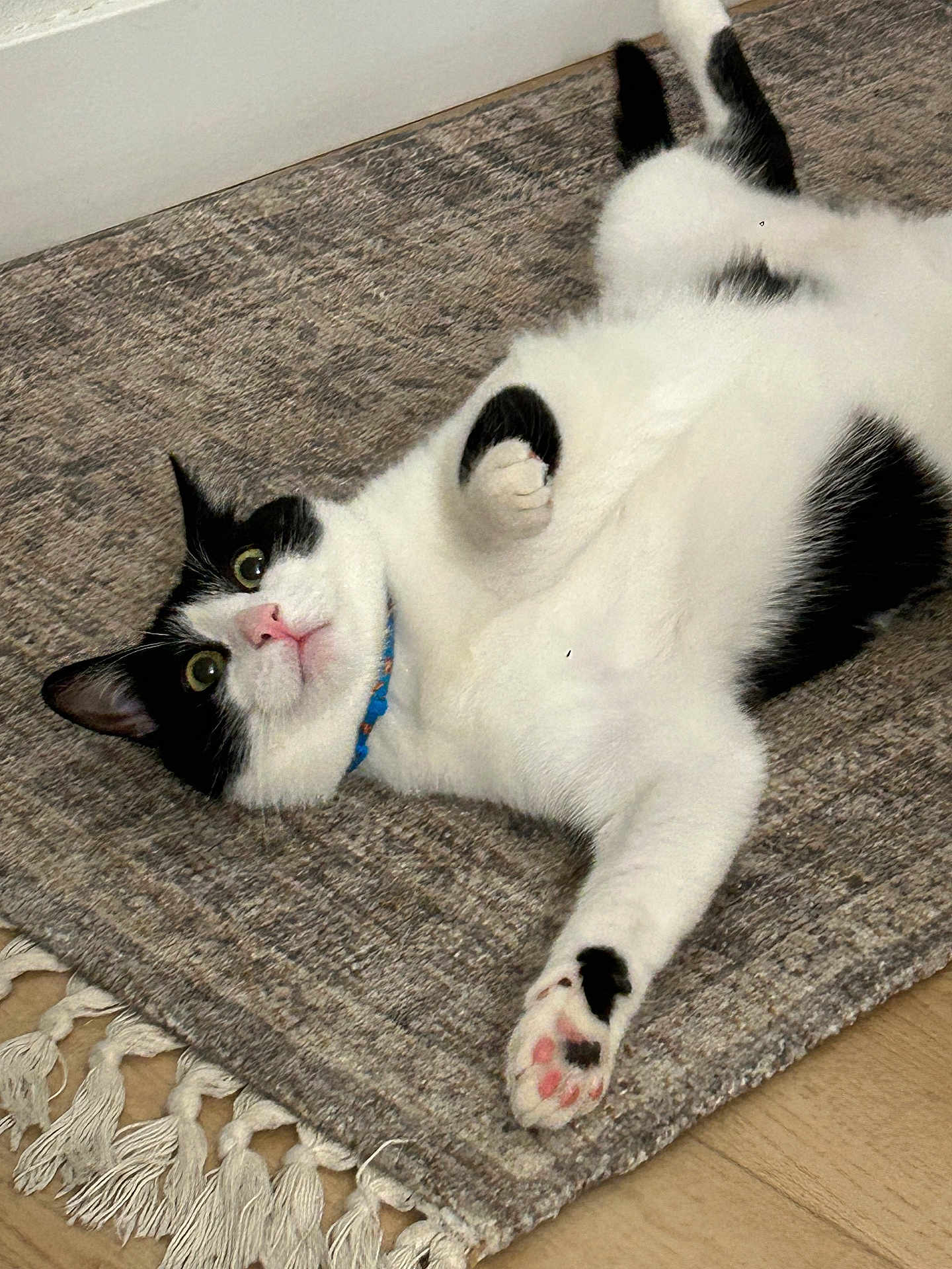 Astro