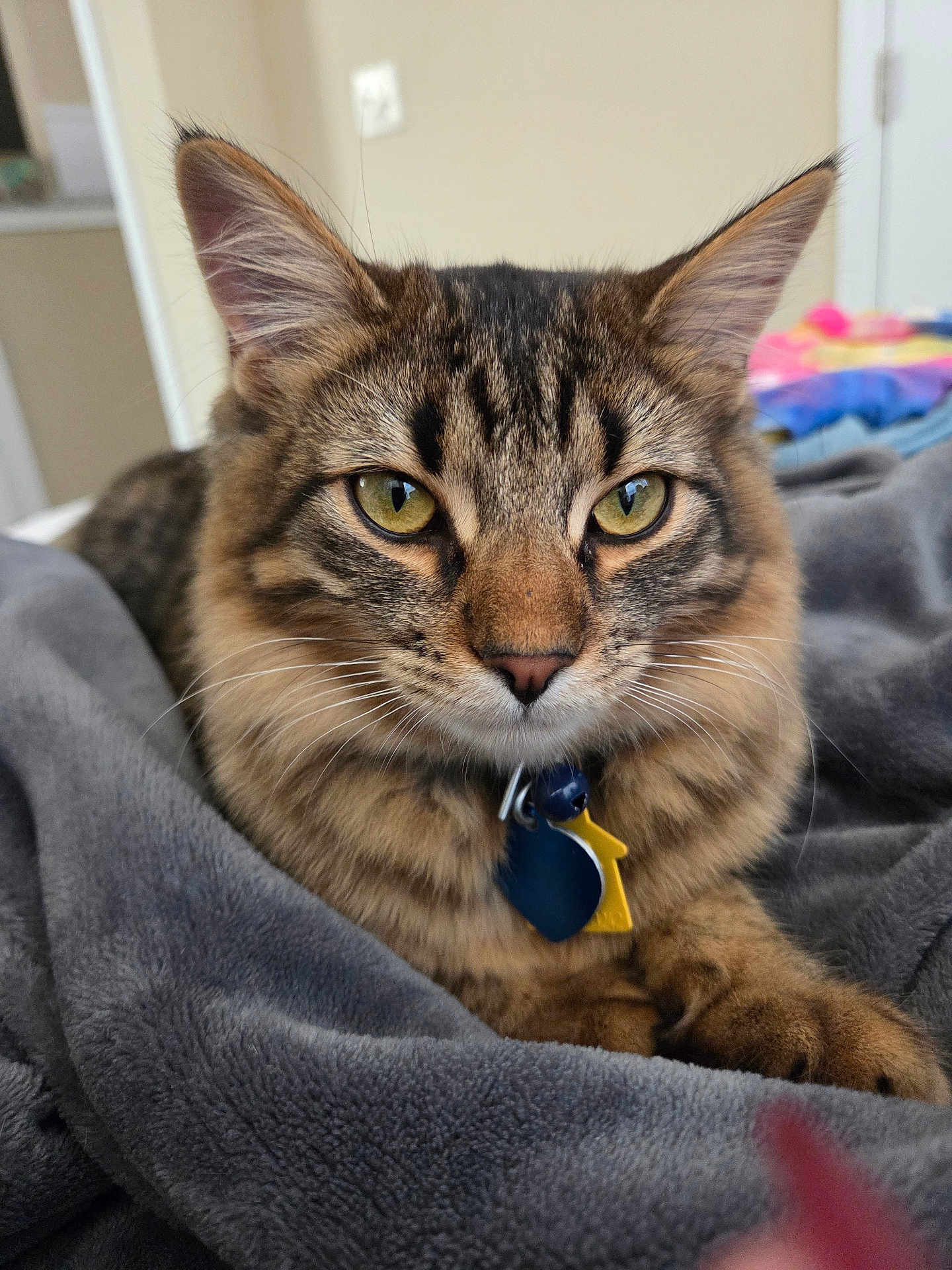 Peanut