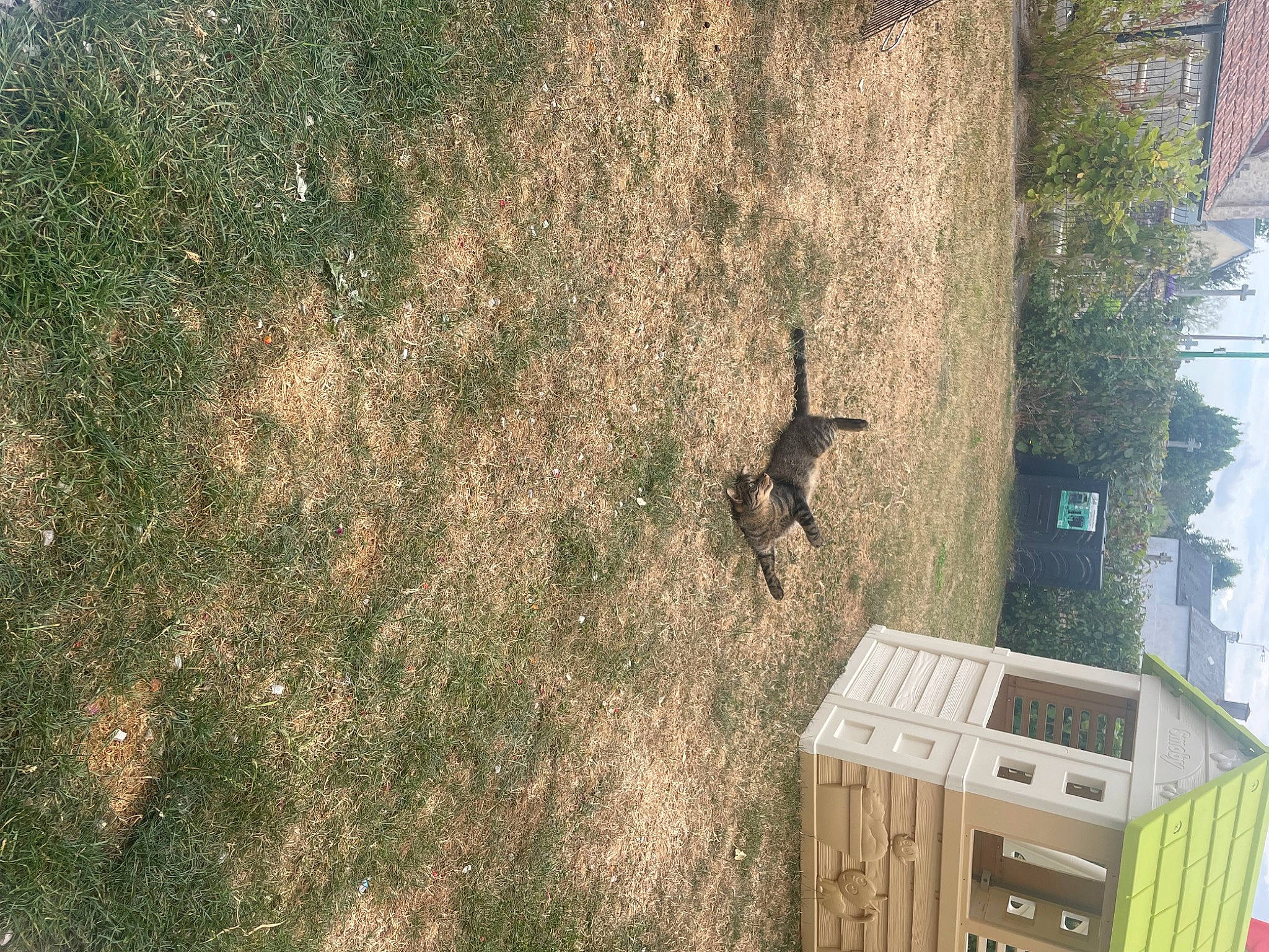 Floky participe au concours pour gagner de l'argent avec cette photo : adventure, backyard, biome, building, concrete, extreme_sport, grass, hardwood, landscape, nature, plant, recreation, shadow, soil, tree, trunk, wall, wildlife, wood, wood_stain