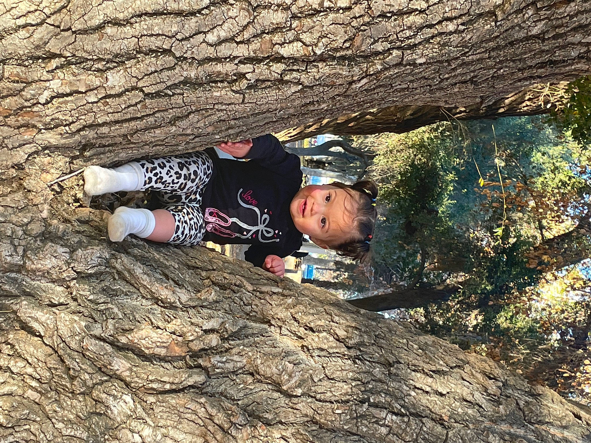 Sophia is registered to the contest to win money with this photo: adventure, bedrock, erosion, fault, formation, fun, geology, hat, helmet, landscape, leisure, outcrop, people_in_nature, person, plant, recreation, rock, soil, tree, trunk