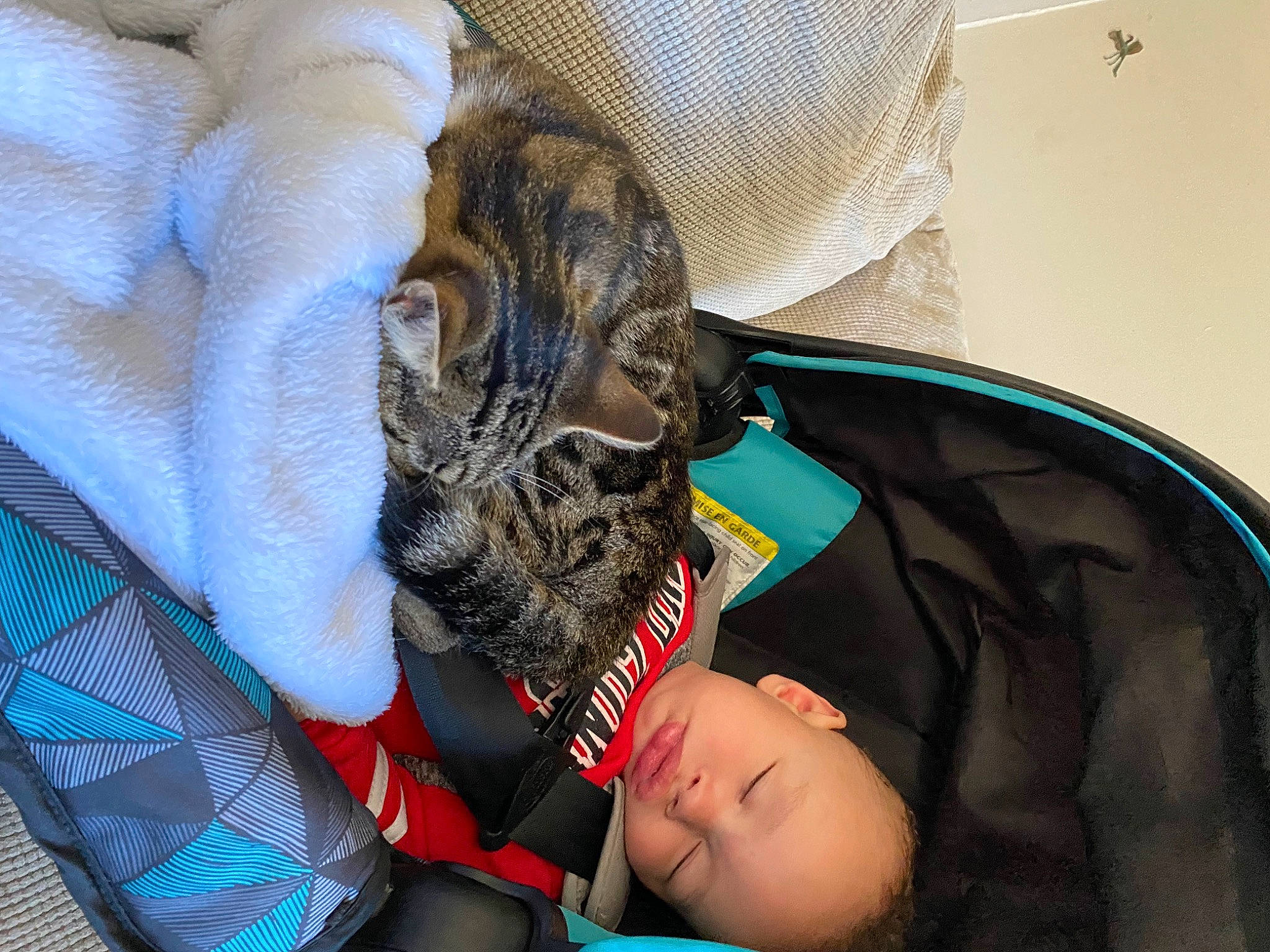 Jaxon is registered to the contest to win money with this photo: audio_equipment, baby, beard, child, comfort, elbow, eyewear, fashion_accessory, felidae, fun, fur, gesture, happy, nap, person, personal_protective_equipment, sitting, sleep, toddler