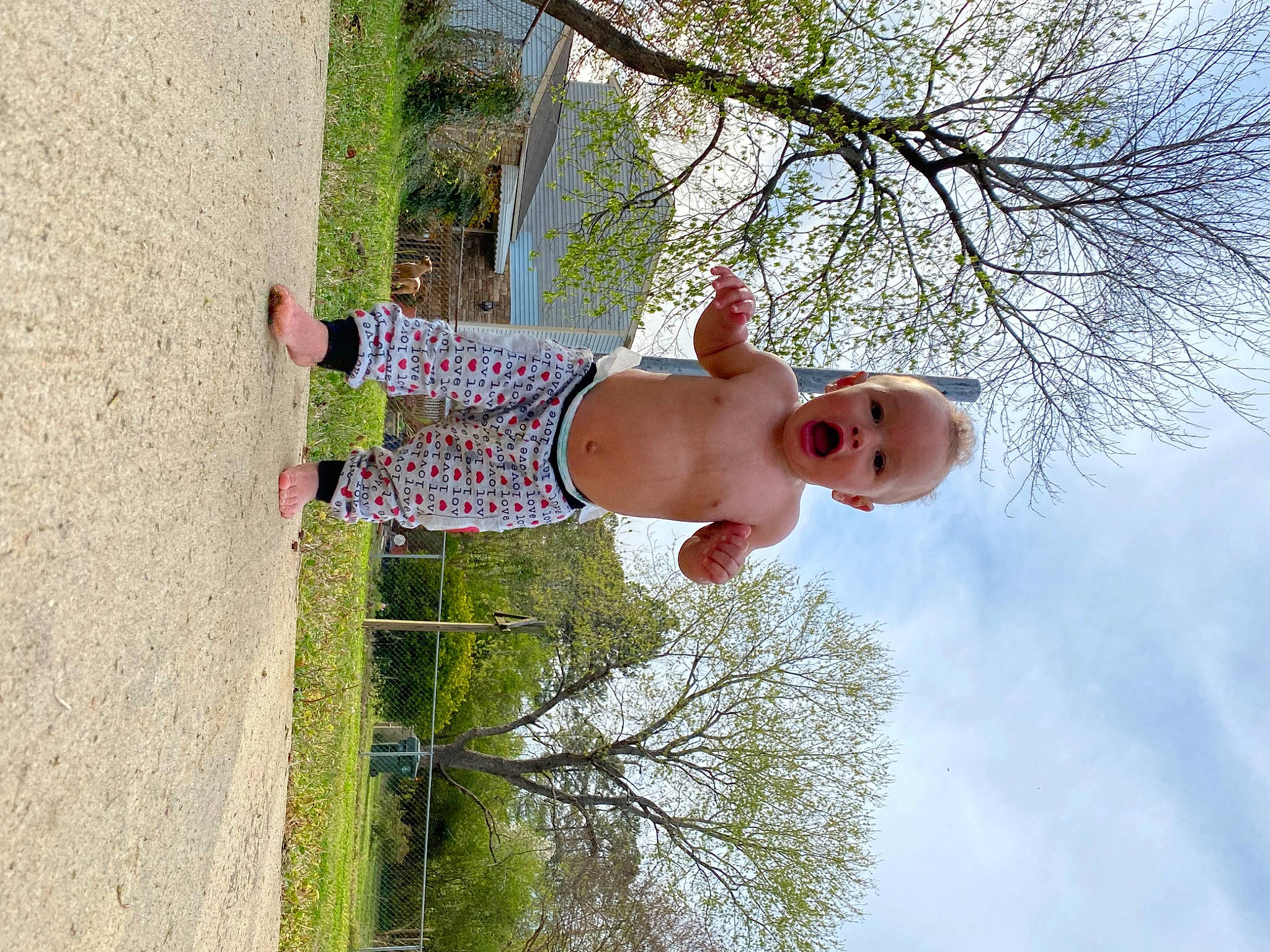 Jaxon is registered to the contest to win money with this photo: abdomen, baby, chest, child, cloud, elbow, fun, grass, happy, leisure, navel, people_in_nature, person, plant, sky, surprise, toddler, tree, trunk, twig