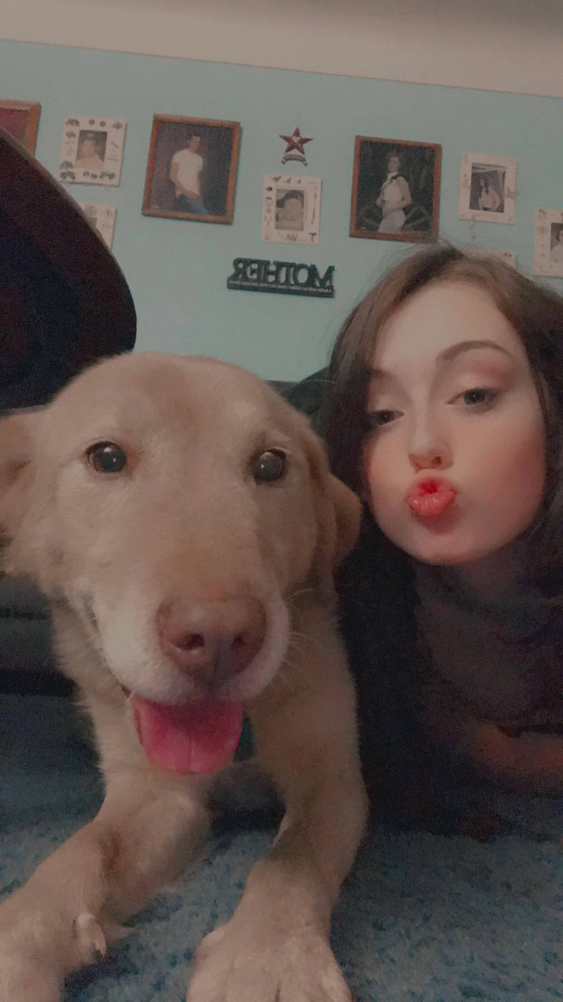 Milo is registered to the contest to win money with this photo: carnivore, companion_dog, dog, dog_breed, ear, eye, eyebrow, eyelash, fawn, flooring, happy, iris, jaw, mouth, neck, nose, picture_frame, selfie, skin, working_animal