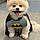 Charlie