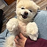 Charlie joined the competition — help win amazing prizes! dog, puppy, pomeranian, fluffy, pet, indoor, happy, smiling, cute, fur, paw, hand, person, cozy, blanket, floor, wooden_floor, animal, domestic_animal, petting