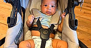 Zion joined the competition — help win amazing prizes! baby, infant, stroller, diaper, straps, wooden_floor, face, cute, child, seated, clothing, indoor, person, baby_girl, baby_boy, newborn, relaxed, looking_up, small_hands, legs