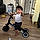 Romina