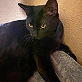 Christy W. H.