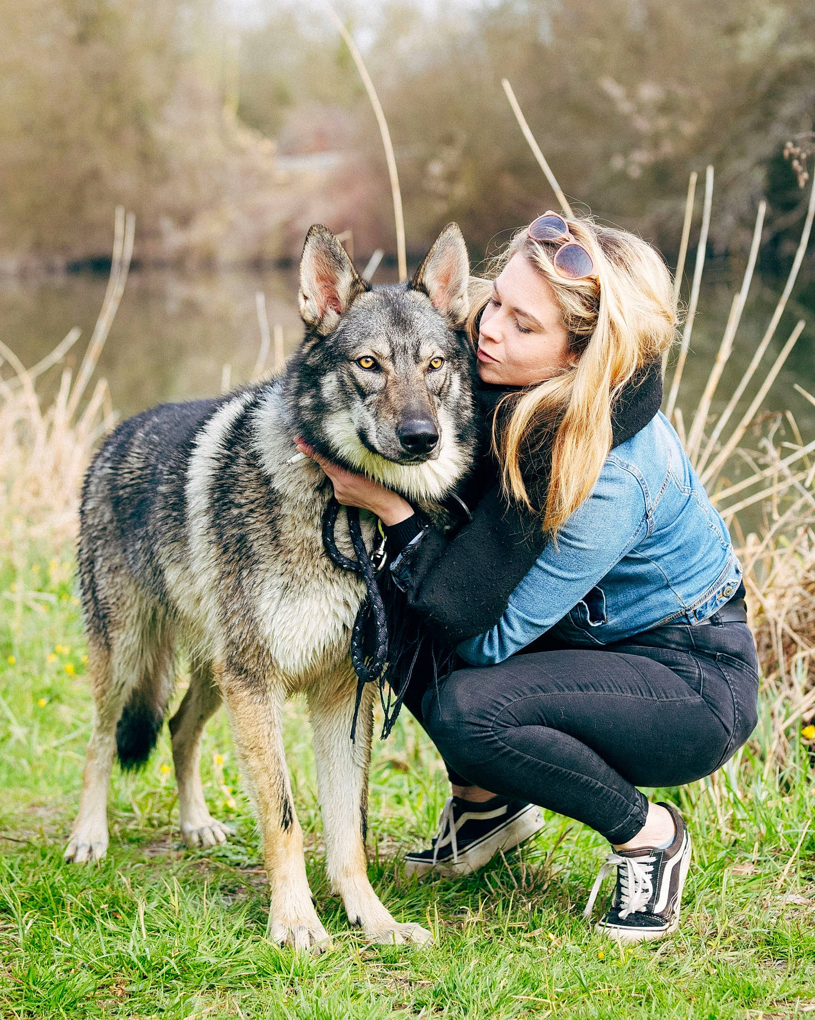 Syrkos participe au concours pour gagner de l'argent avec cette photo : canidae, canis, carnivore, companion_dog, dog, dog_breed, dog_hiking, fun, fur, grass, guard_dog, happy, herding_dog, recreation, sitting, smile, sporting_group, wildlife, wolf, working_dog