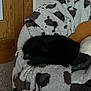 Wolverine joined the competition — help win amazing prizes! cat, black_cat, sleeping, blanket, chair, furniture, indoor, cozy, curled_up, pet, animal, soft_texture, home, relaxing, resting, fur, domestic, spot_pattern, carpet, wooden_door