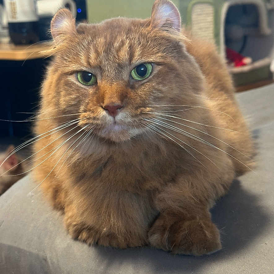 Rusty