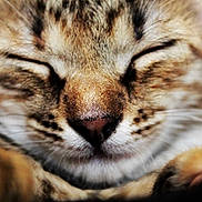 Easy participe au concours pour gagner de l'argent avec cette photo :