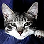 Mo participe au concours pour gagner de l'argent avec cette photo :