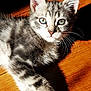 Mo participe au concours pour gagner de l'argent avec cette photo :