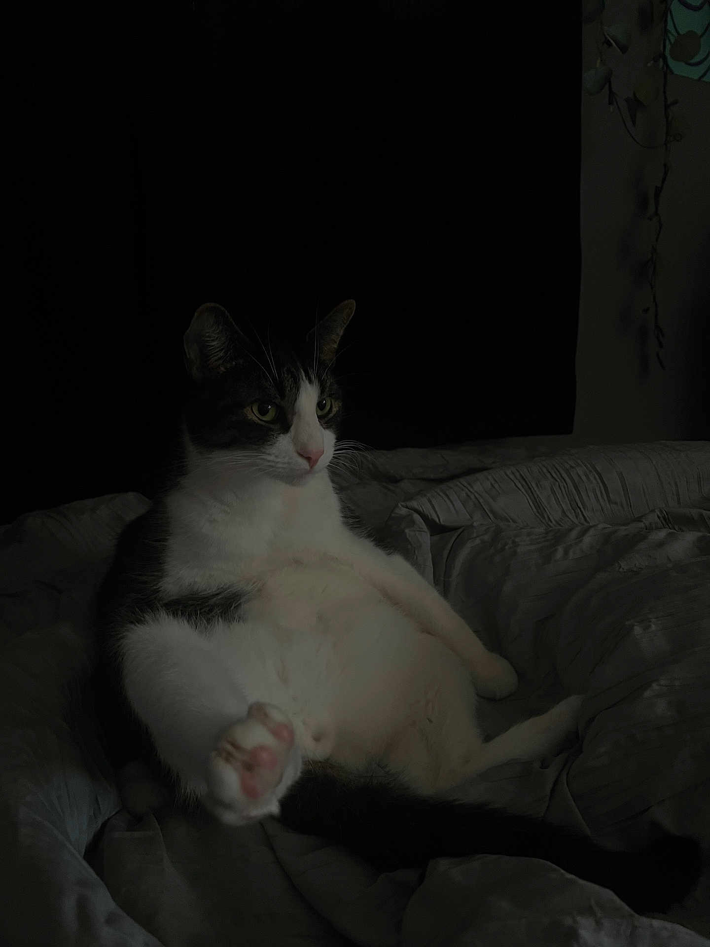 Roscoe