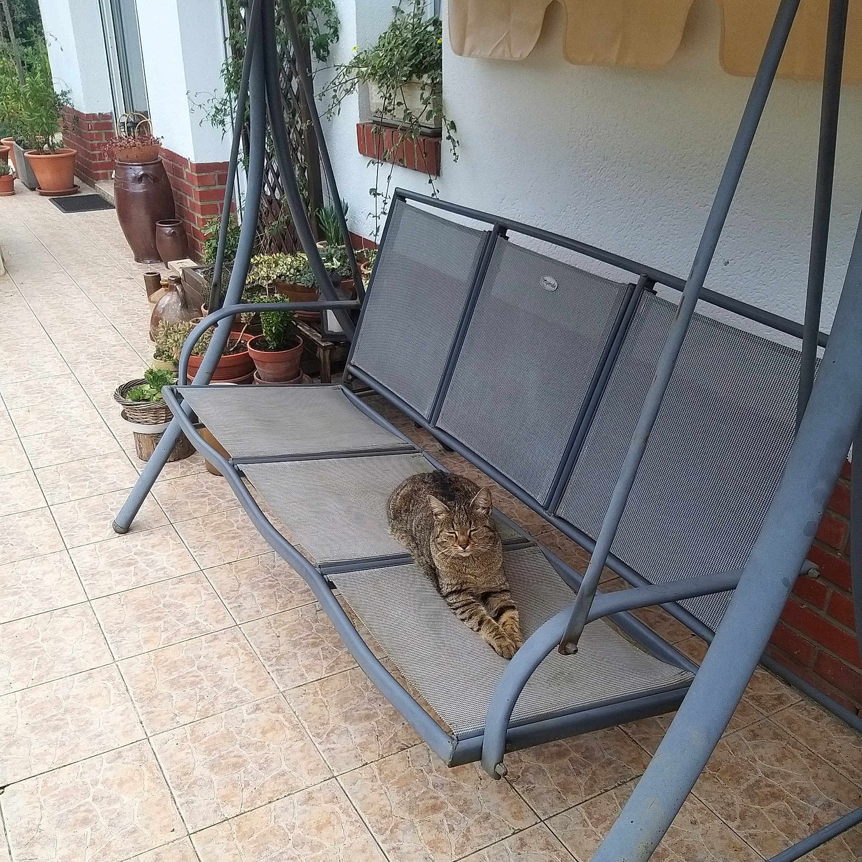 Minouchette