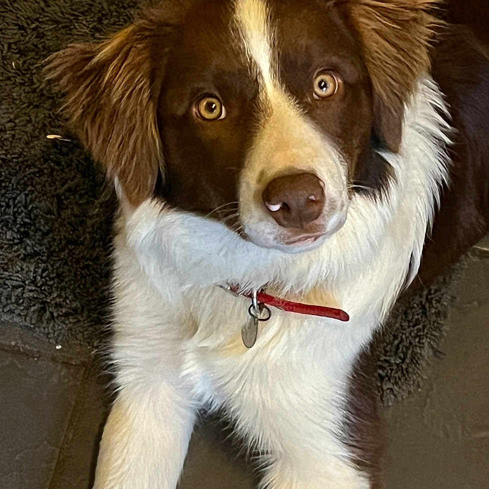 Freya
