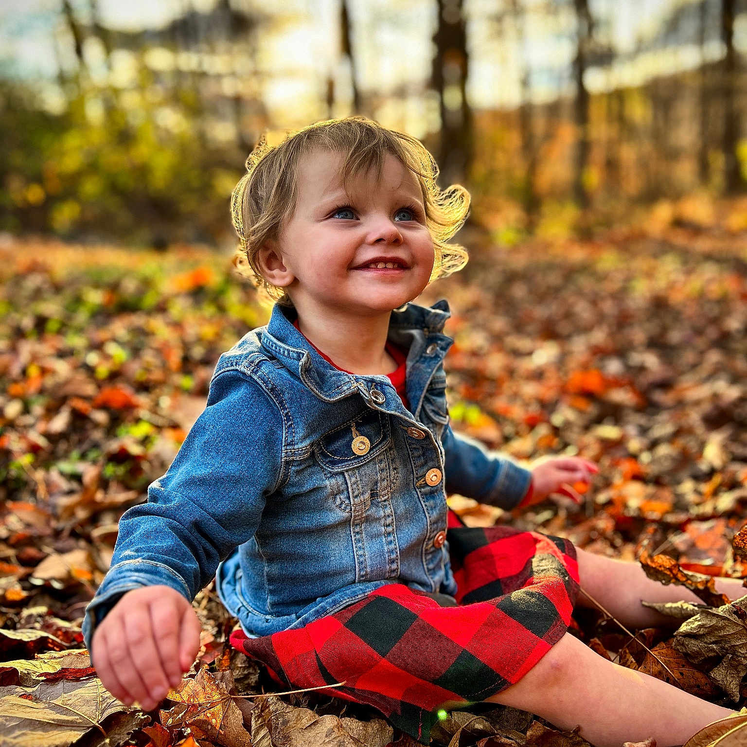 Bella