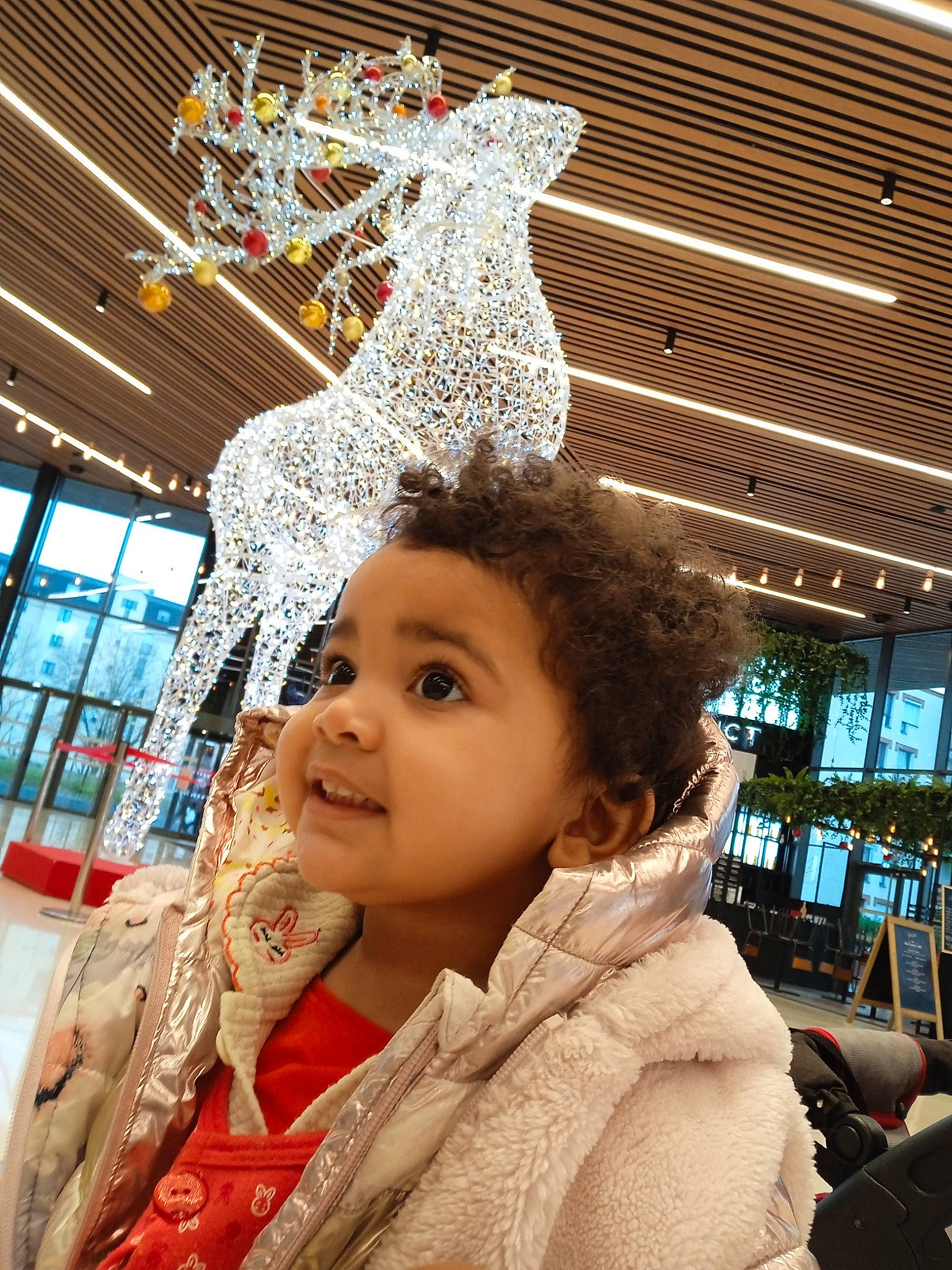 Mahlya participe au concours pour gagner de l'argent avec cette photo : art, beauty, child, christmas_ornament, event, fun, fur, happy, human, leisure, organ, people, person, photograph, snapshot, standing, toddler, tourism, travel, winter