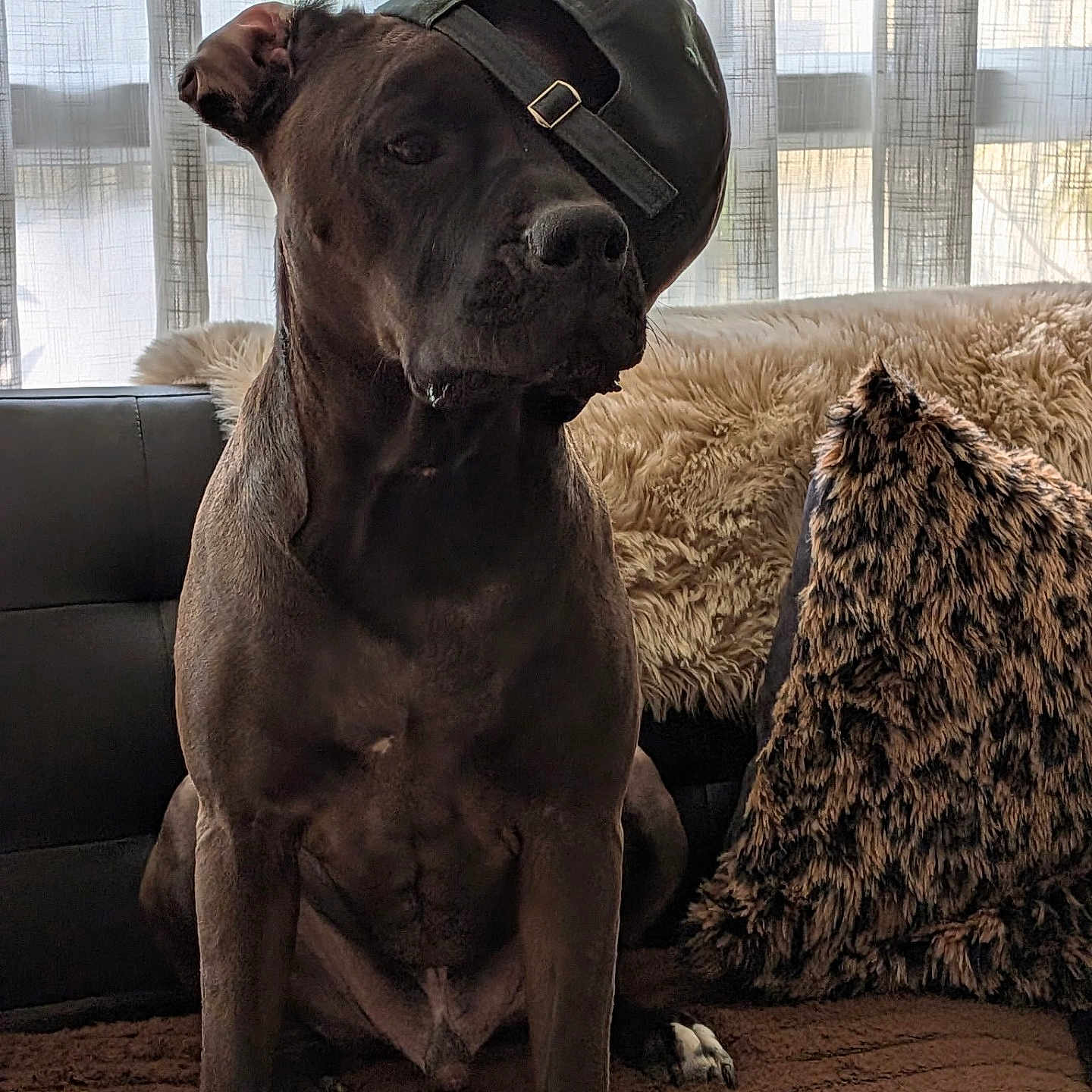 Paco