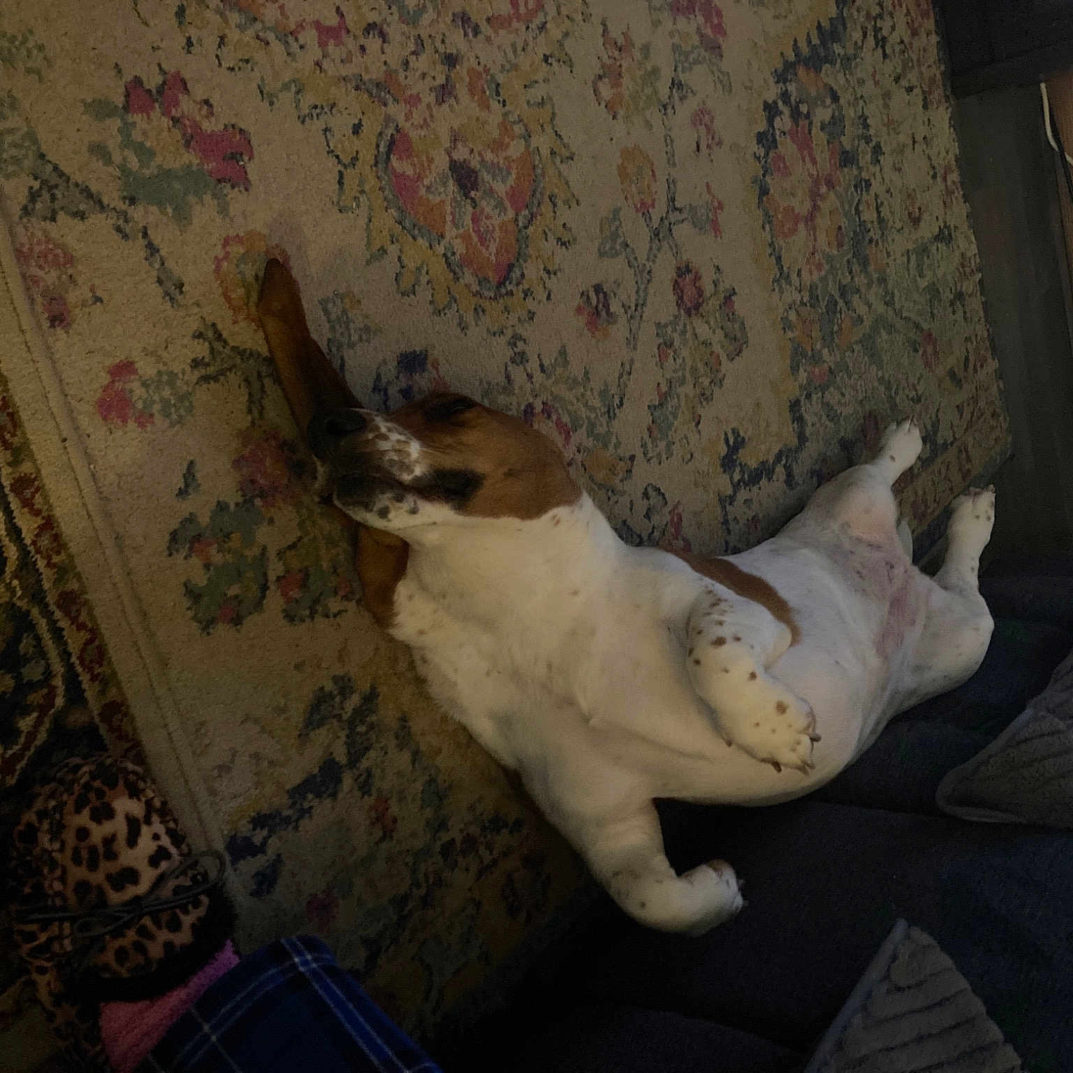 Bessie