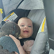 Amara joined the competition — help win amazing prizes! baby, child, car_seat, plush_toy, dragon, toy, smile, drool, infant, seatbelt, window_shade, happy, cute, indoors, person, face, hand, clothing, car_interior, soft_light