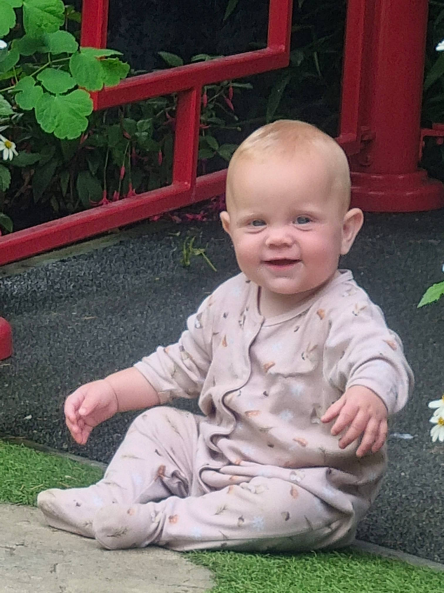 Phoebe is registered to the contest to win money with this photo: baby, baby_toddler_clothing, cheek, child, face, flooring, fun, garden, grass, happy, head, joy, landscaping, lawn, leisure, person, plant, sitting, smile, toddler