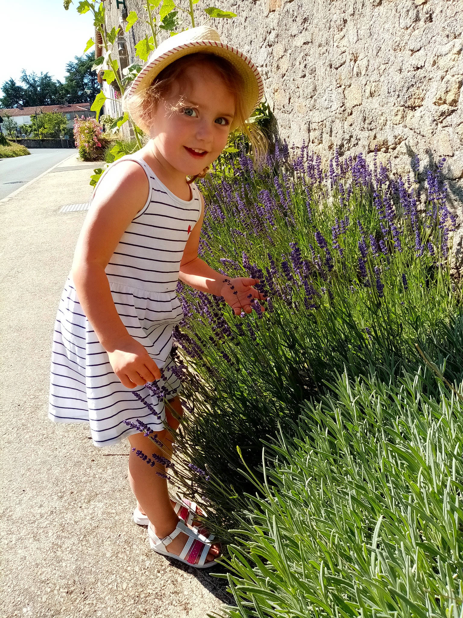 Swann participe au concours pour gagner de l'argent avec cette photo : baby_toddler_clothing, botany, cap, child, flower, fun, grass, grass_family, groundcover, hat, joy, lavender, leaf, people_in_nature, person, plant, sandal, shrub, sun_hat, terrestrial_plant
