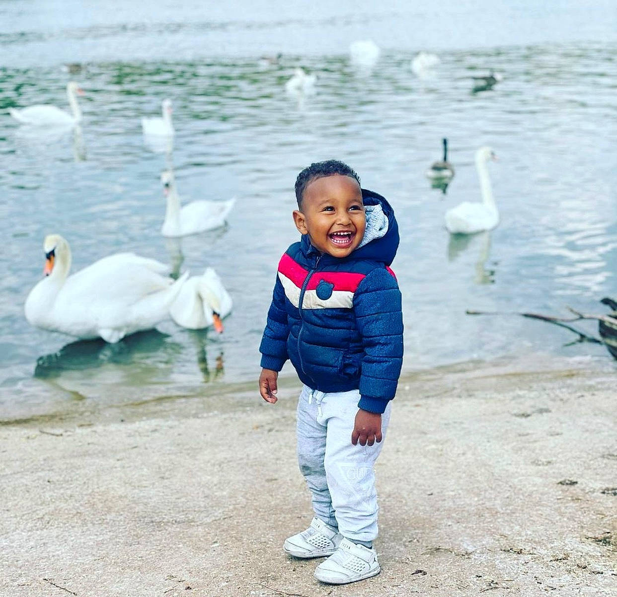 Djibril a rejoint le concours — aidez-le/la à gagner de superbes lots ! _geese_and_swans, baby_toddler_clothing, beak, bird, duck, ducks, eye, feather, fun, happy, jacket, joy, lake, leisure, person, recreation, smile, toddler, travel, vertebrate
