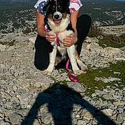 Joy participe au concours pour gagner de l'argent avec cette photo :