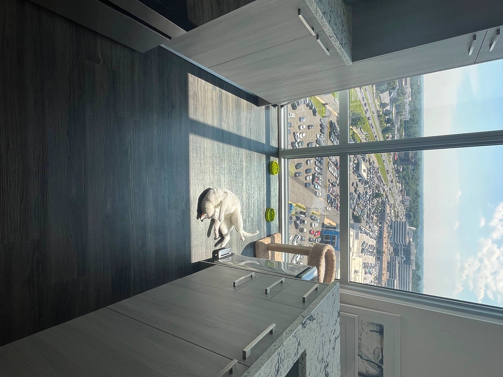 Lucky joined the competition — help win amazing prizes! apartment, art, building, cabinetry, ceiling, chair, condominium, facade, floor, flooring, glass, hardwood, house, room, sash_window, shade, sky, space, window, wood