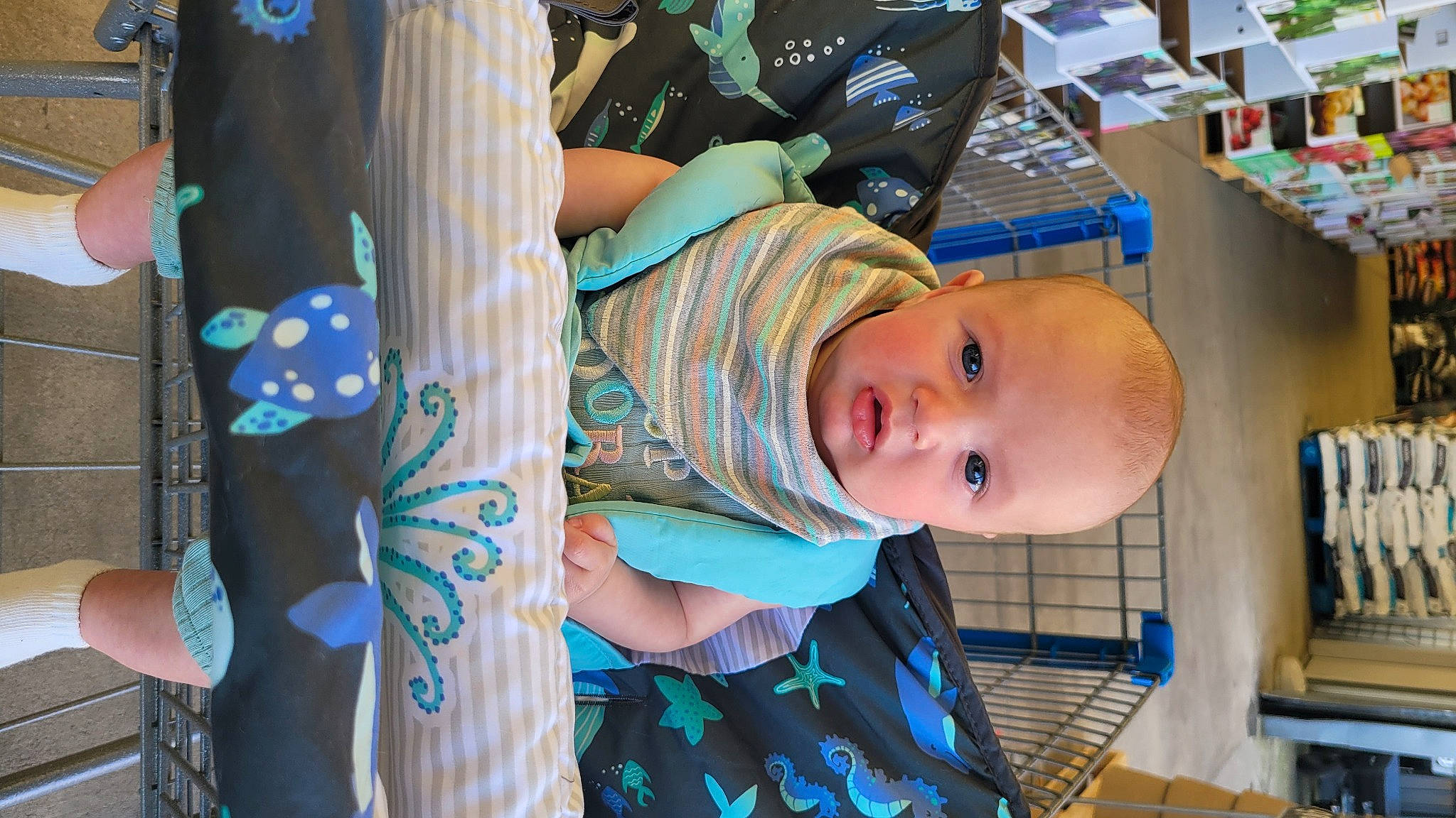 Briar is registered to the contest to win money with this photo: baby, baby_products, baby_safety, baby_toddler_clothing, blue, child, electric_blue, fashion_accessory, fun, hat, leisure, pattern, person, shelf, sitting, smile, t_shirt, textile, toddler, tree