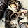 Aron