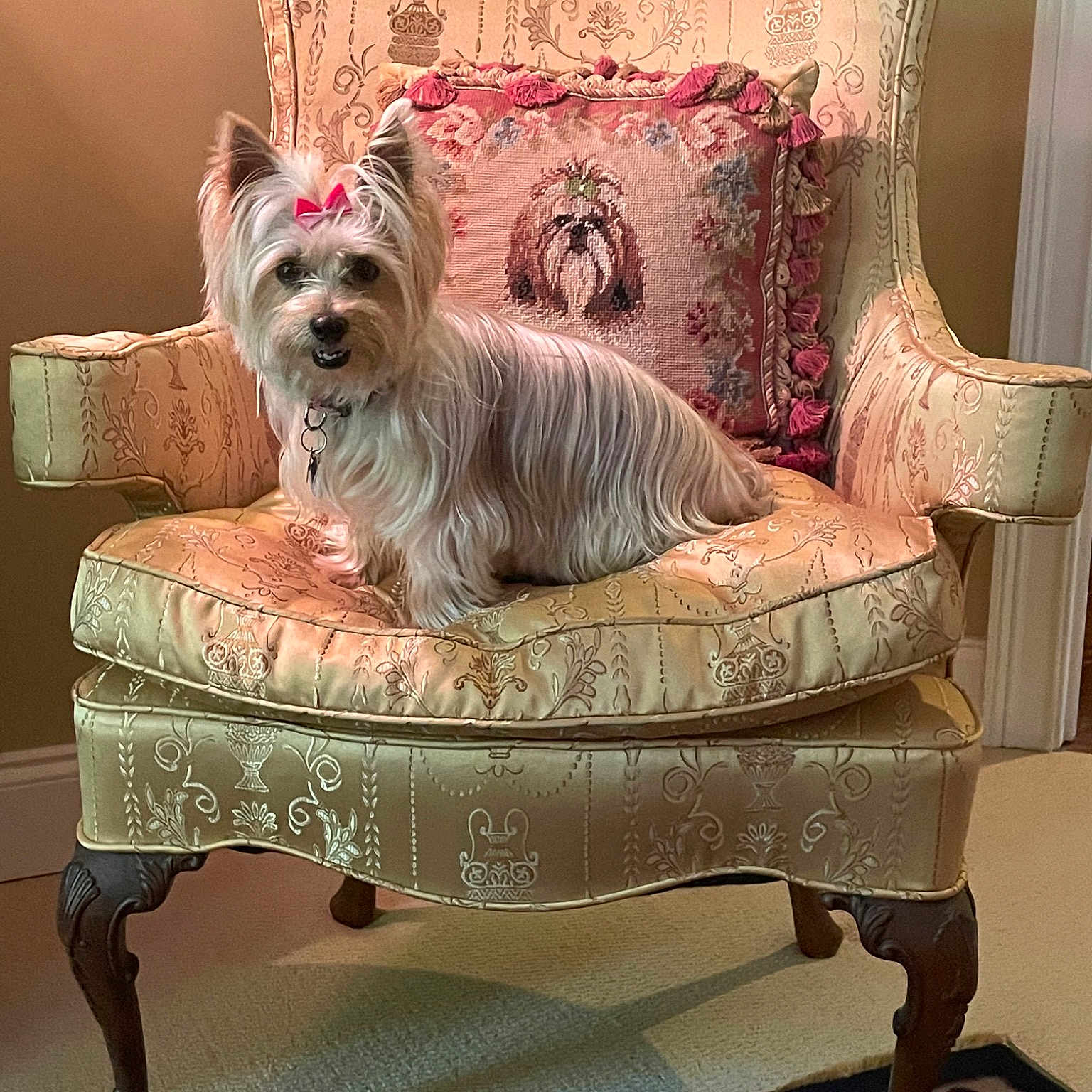 Molly Belle