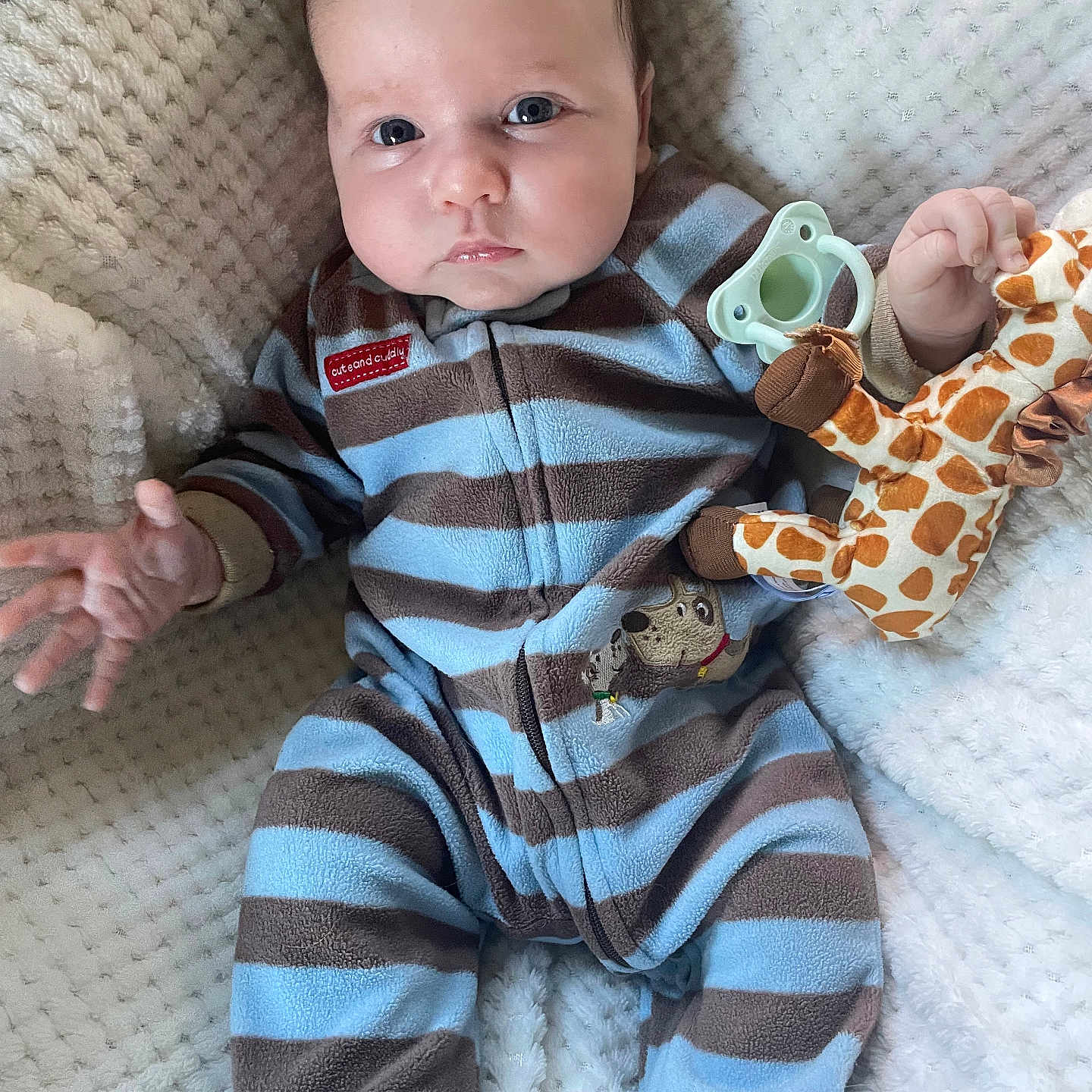 Ricky joined the competition — help win amazing prizes! baby, blanket, bodypart, clothing, coat, couch, face, finger, furniture, hand, head, jacket, knitwear, newborn, pajamas, pants, person, photography, portrait, sweater