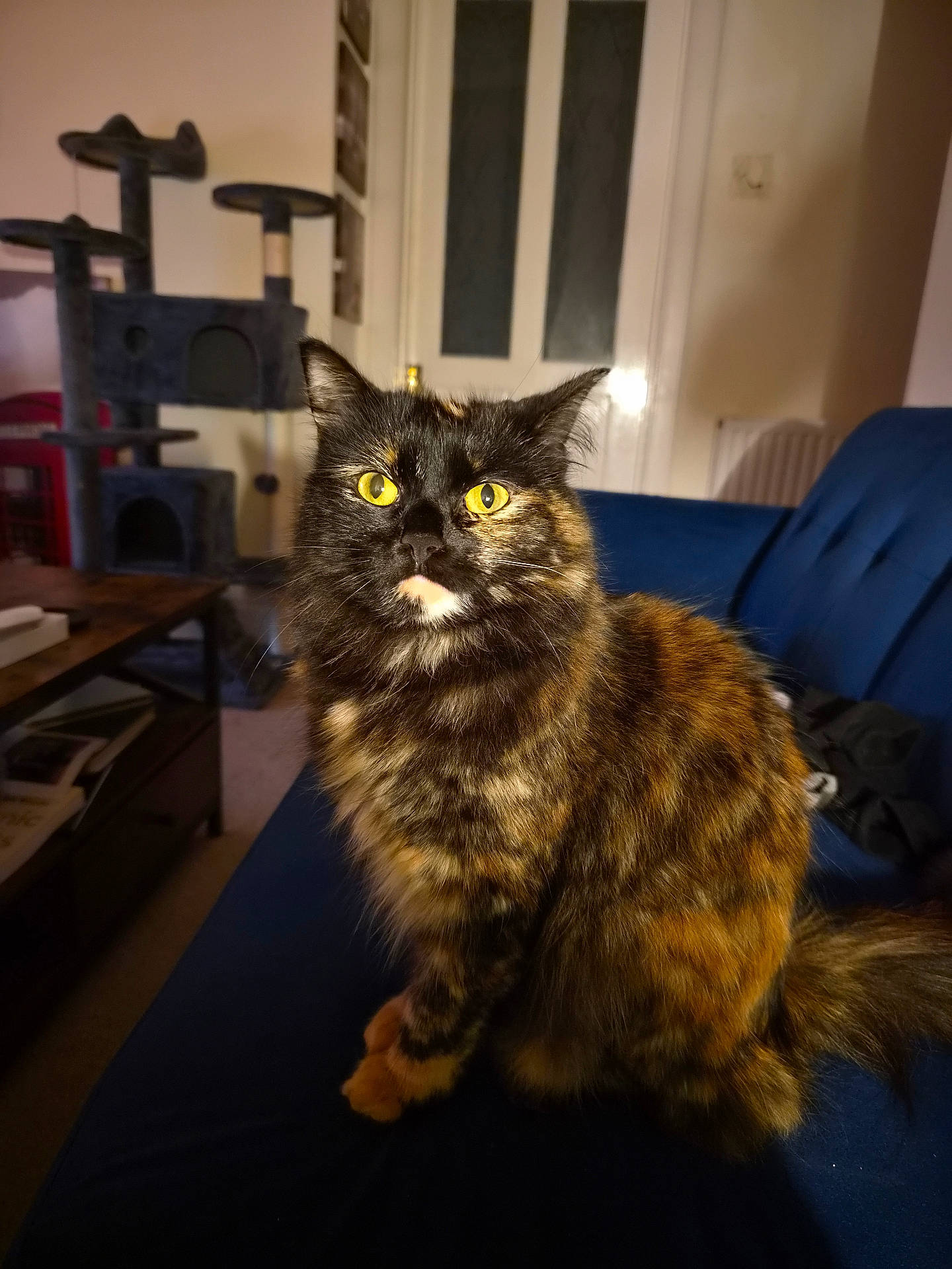 Kyro