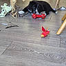 puppy, dog, toy, red_toy, floor, wooden_floor, indoor, scratching_post, plush_toy, black_and_white, pet, playful, animal, chewing, cute, young_dog, collar, furniture_leg, home, pet_toy